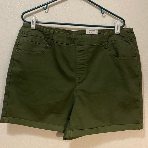 Time And Tru Shorts Women’s Size 16-18 Green‎ New - Picture 1 of 9